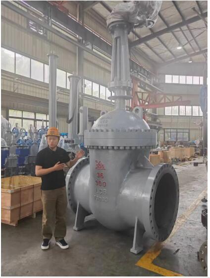 行走閥門江湖數(shù)十載！挺宇流體智能化新工廠預計2026年10月投入使用，開啟文化傳播新篇章