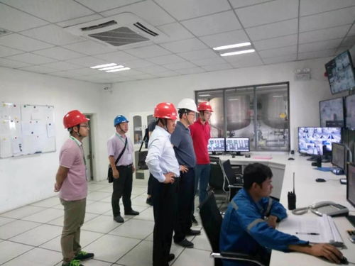 中國(guó)紙業(yè)總經(jīng)理張強(qiáng)赴華新包裝珠海工廠開展環(huán)保督察暨安全生產(chǎn)檢查